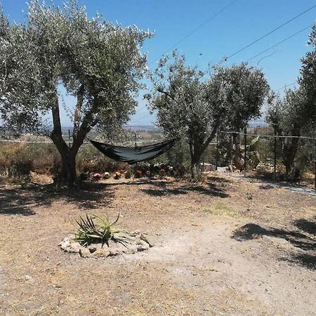 Villa Emma con panorama Etna a 10 minuti dal mare Lentini Exterior foto